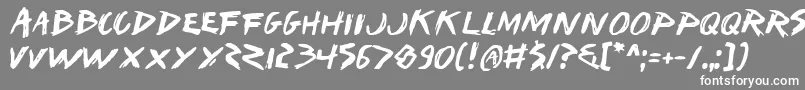 フォントIWantMyTtr – 灰色の背景に白い文字