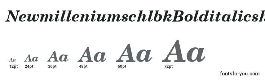 Размеры шрифта NewmilleniumschlbkBolditalicsh