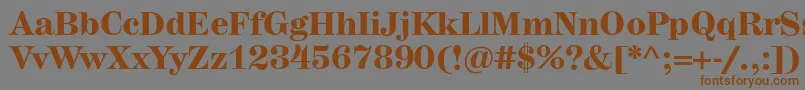 フォントHerculesmediumBold – 茶色の文字が灰色の背景にあります。