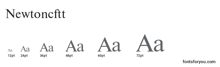 Newtoncftt Font Sizes