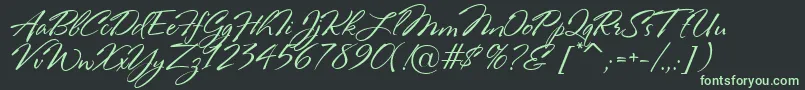 RosaMarena Font – Green Fonts on Black Background
