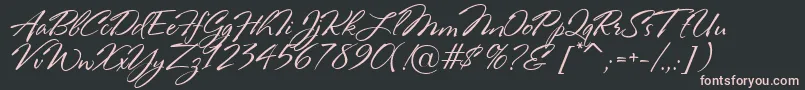RosaMarena Font – Pink Fonts on Black Background
