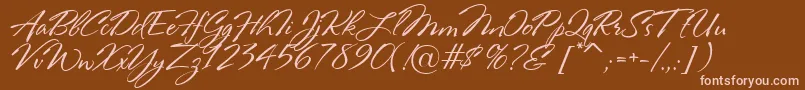 Fonte RosaMarena – fontes rosa em um fundo marrom
