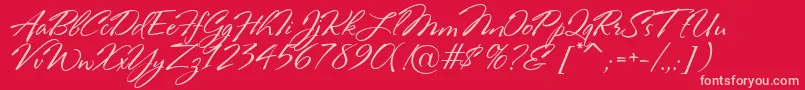 RosaMarena Font – Pink Fonts on Red Background