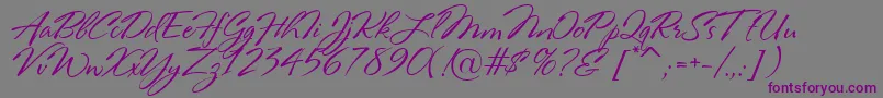 フォントRosaMarena – 紫色のフォント、灰色の背景