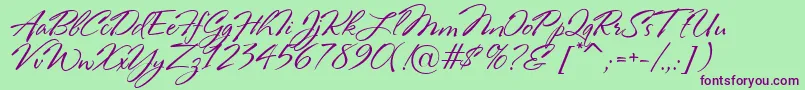 RosaMarena-Schriftart – Violette Schriften auf grünem Hintergrund
