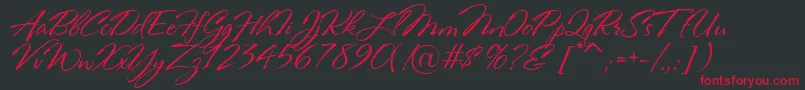 RosaMarena Font – Red Fonts on Black Background
