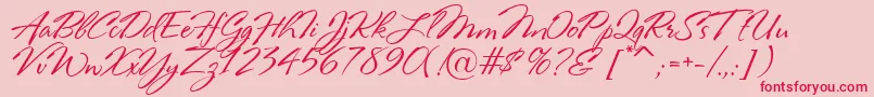 RosaMarena Font – Red Fonts on Pink Background