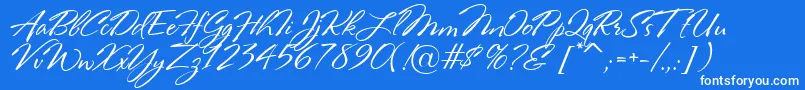 RosaMarena Font – White Fonts on Blue Background