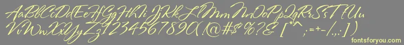 RosaMarena Font – Yellow Fonts on Gray Background