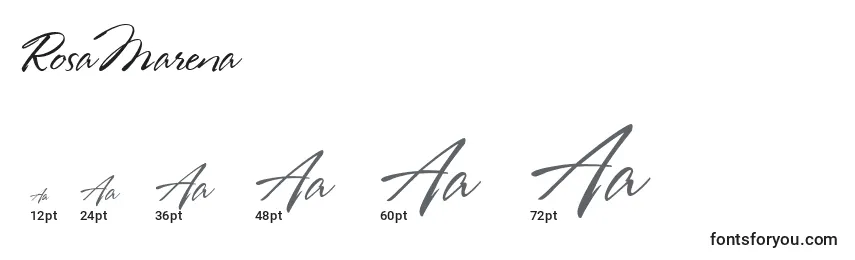 RosaMarena Font Sizes