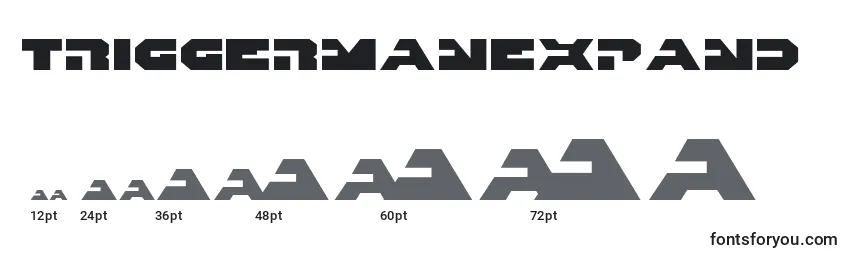 Triggermanexpand Font Sizes