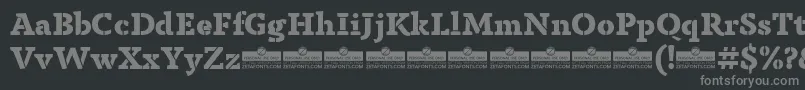 AnaphoraStencilExtraboldTrial Font – Gray Fonts on Black Background