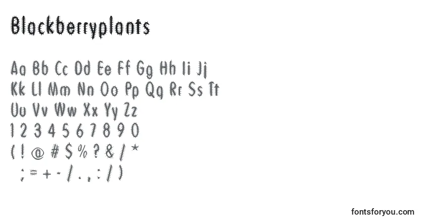 Schriftart Blackberryplants – Alphabet, Zahlen, spezielle Symbole