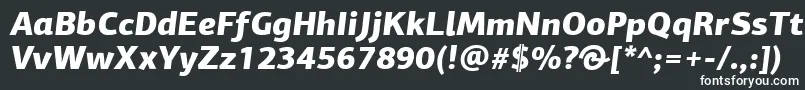 Шрифт PfagorasansproBlackitalic – белые шрифты на чёрном фоне