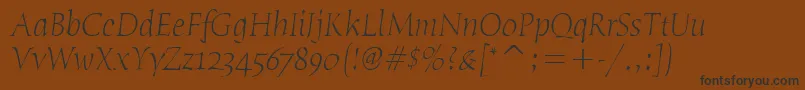 Police HumanaSerifItcTtLightitalic – polices noires sur fond brun