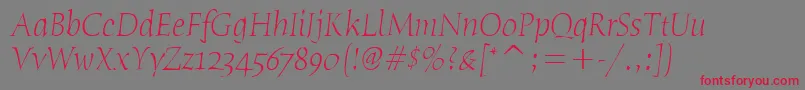 HumanaSerifItcTtLightitalic Font – Red Fonts on Gray Background