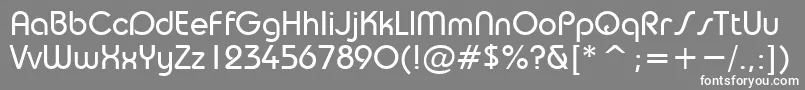 TrsN Font – White Fonts on Gray Background