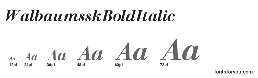 Размеры шрифта WalbaumsskBoldItalic