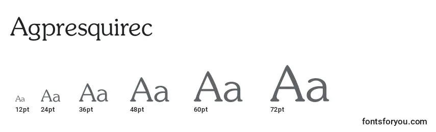 Размеры шрифта Agpresquirec