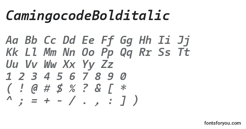 Czcionka CamingocodeBolditalic – alfabet, cyfry, specjalne znaki