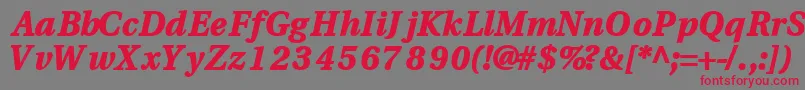 フォントVeracityblacksskBoldItalic – 赤い文字の灰色の背景