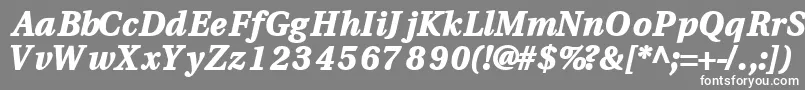 VeracityblacksskBoldItalic Font – White Fonts on Gray Background