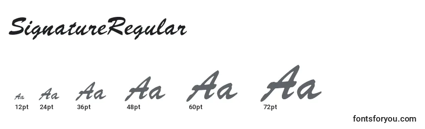 Размеры шрифта SignatureRegular