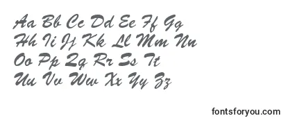 SignatureRegular Font