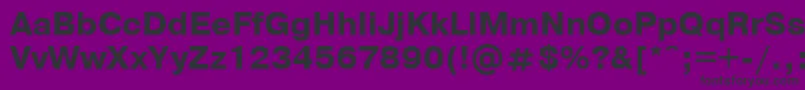 PragmaticaBoldCyrillic Font – Black Fonts on Purple Background