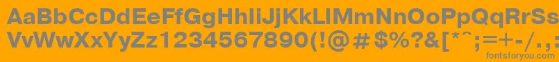 PragmaticaBoldCyrillic Font – Gray Fonts on Orange Background