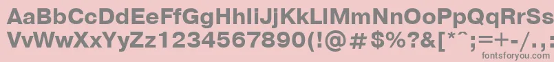 PragmaticaBoldCyrillic Font – Gray Fonts on Pink Background