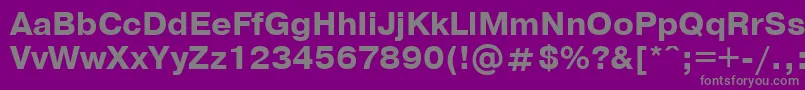 PragmaticaBoldCyrillic Font – Gray Fonts on Purple Background