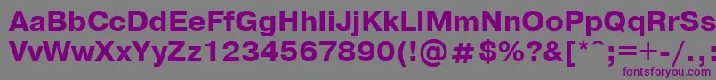 PragmaticaBoldCyrillic Font – Purple Fonts on Gray Background