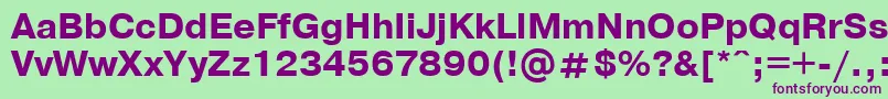 PragmaticaBoldCyrillic Font – Purple Fonts on Green Background