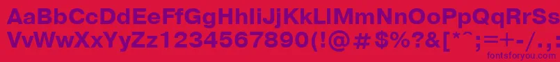 PragmaticaBoldCyrillic Font – Purple Fonts on Red Background