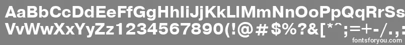 PragmaticaBoldCyrillic Font – White Fonts on Gray Background