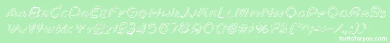 BerserkerShadowItalic Font – White Fonts on Green Background