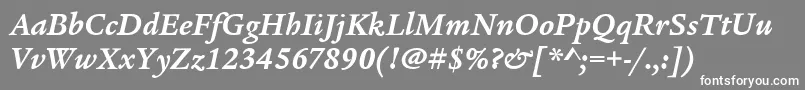 LegacySerifItcBoldItalic Font – White Fonts on Gray Background