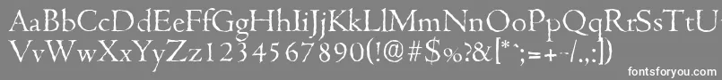 CambridgeantiqueLightRegular Font – White Fonts on Gray Background