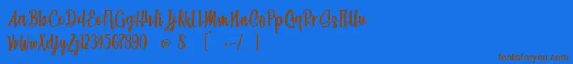 BeachSocietyLight Font – Brown Fonts on Blue Background