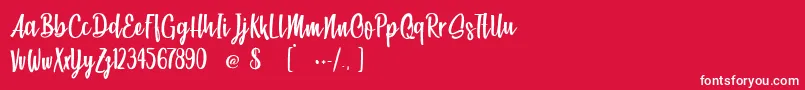 BeachSocietyLight Font – White Fonts on Red Background