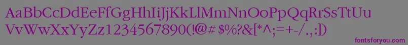 GarnetRegular Font – Purple Fonts on Gray Background