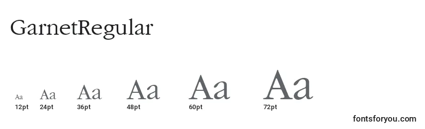 Размеры шрифта GarnetRegular