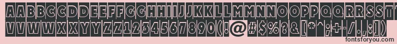 PlakattitulcmgrNormal Font – Black Fonts on Pink Background