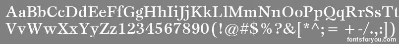 ItcEspritLtMedium Font – White Fonts on Gray Background