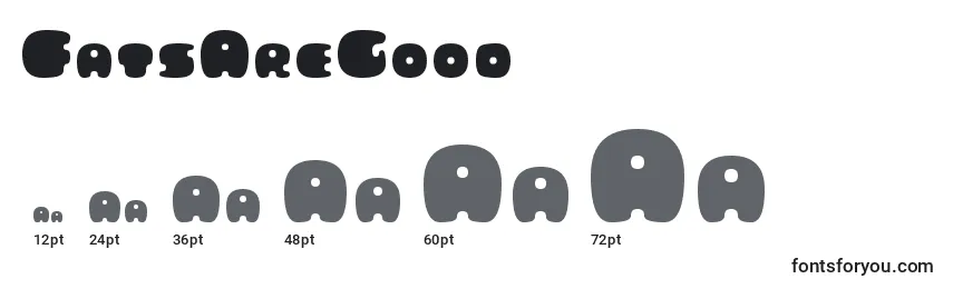 FatsAreGood Font Sizes