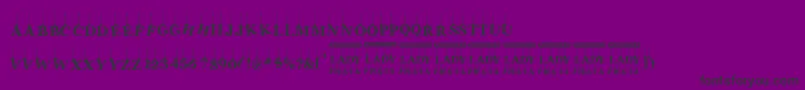LadyFiesta-Schriftart – Schwarze Schriften auf violettem Hintergrund