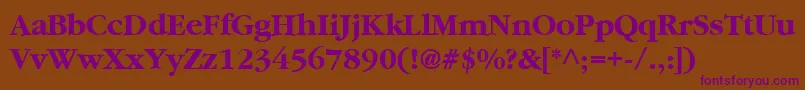 GarnetBold Font – Purple Fonts on Brown Background