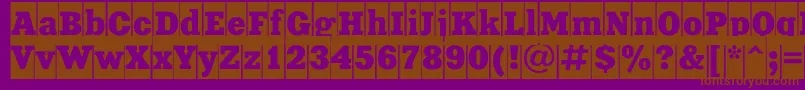Xeniacameoc Font – Brown Fonts on Purple Background